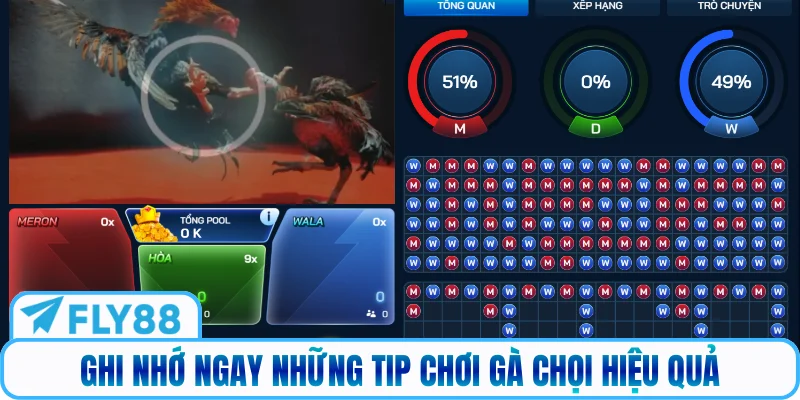 Ghi nhớ ngay những tip chơi gà chọi hiệu quả