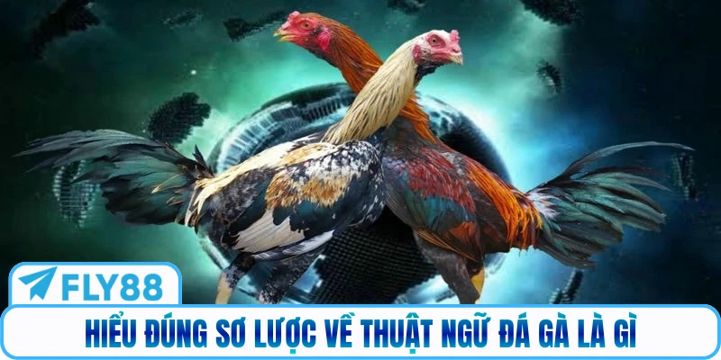 Hiểu đúng sơ lược về thuật ngữ đá gà là gì