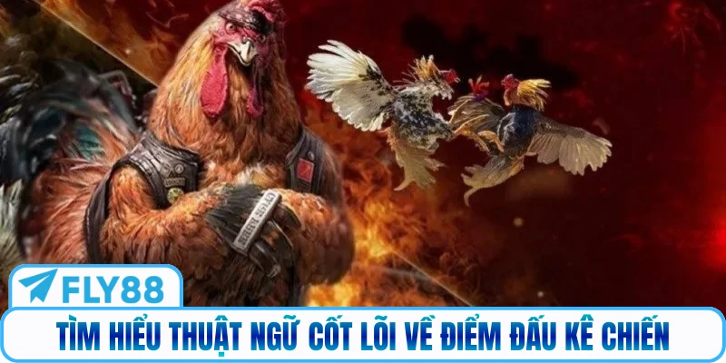 Tìm hiểu thuật ngữ cốt lõi về điểm đấu kê chiến